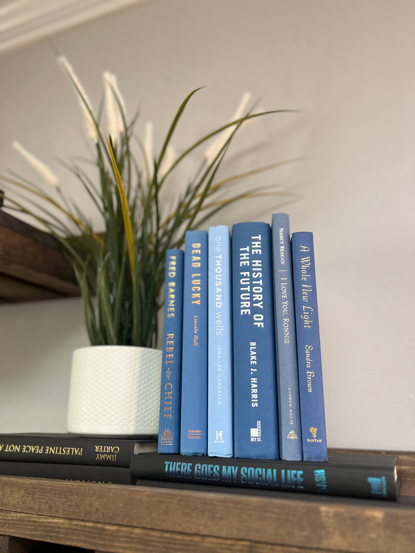 Stack of 6 decorative books