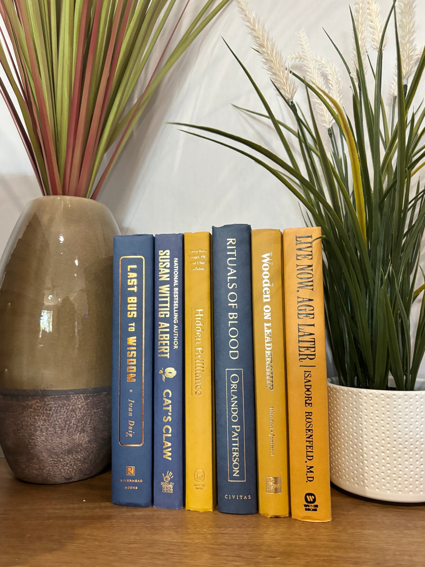 Stack of 6 colorful books
